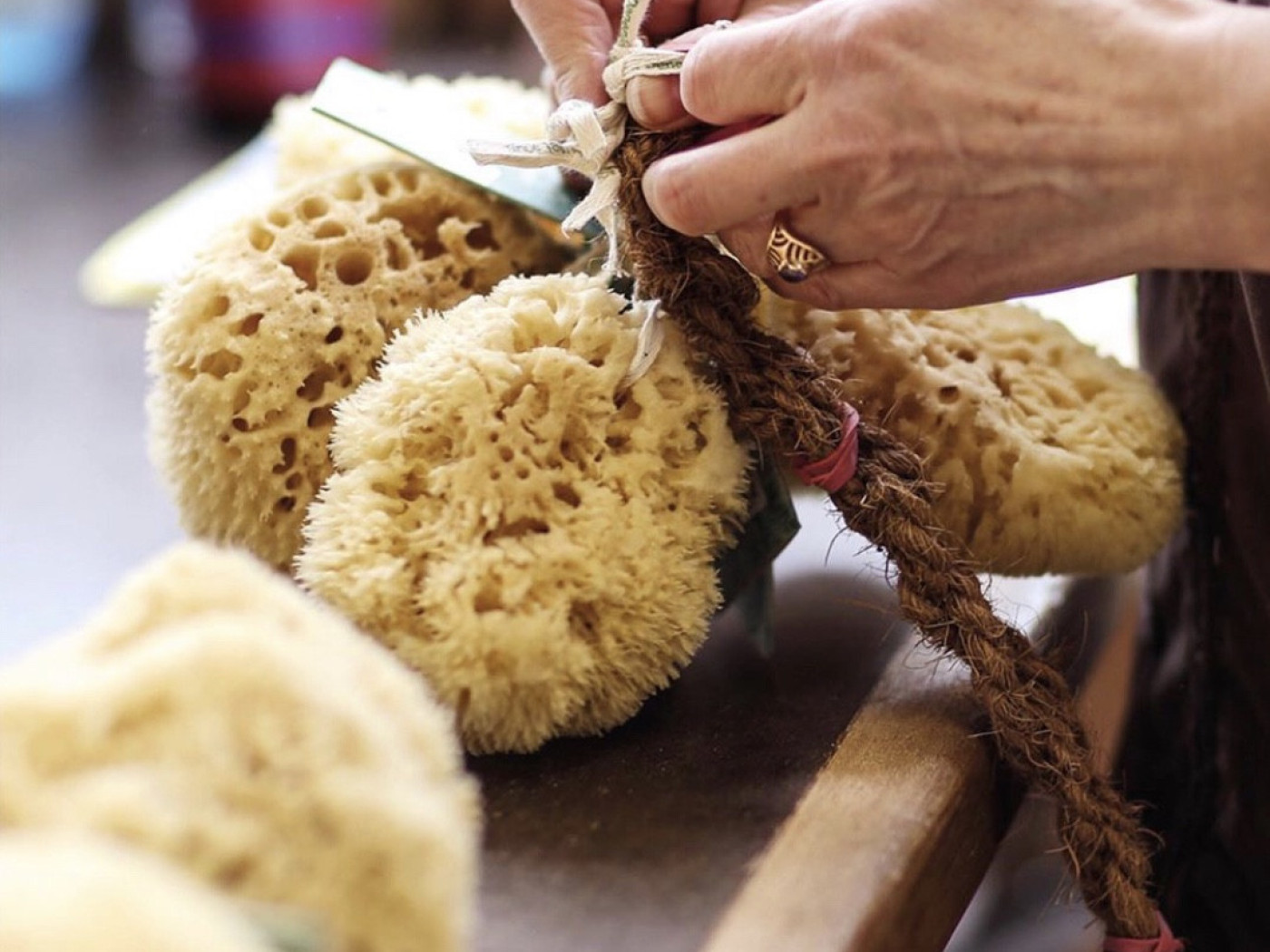 Natural sea sponge - Valley Vintage